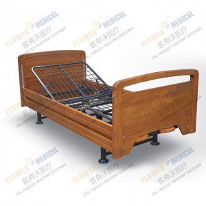 FBD-VIIII European Two funcions electric bed